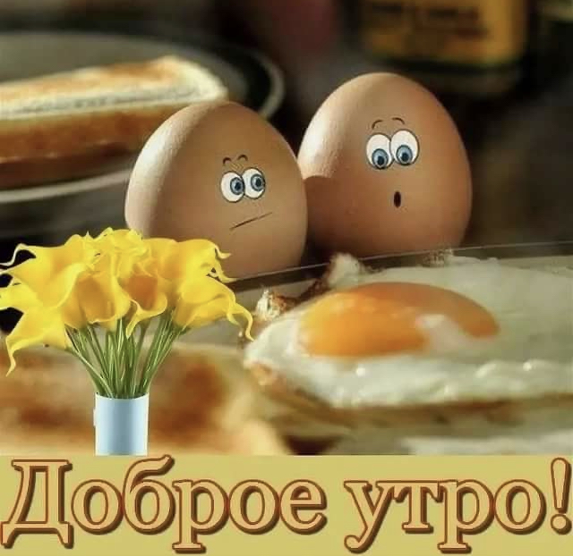 973EDDAE-5487-4B46-9286-38FD076197FD.jpeg