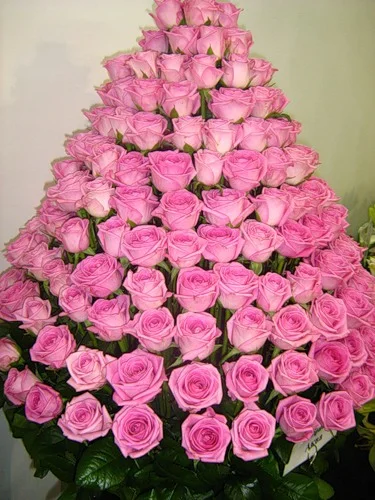 97684232_rozovaya_piramida.webp