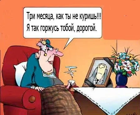 979872142.webp