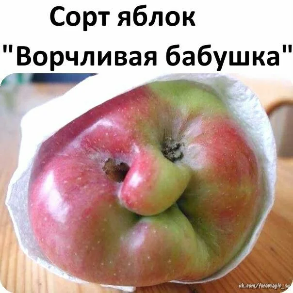 97c5e6b455a09de0008f89d603c4ea1a[1].webp