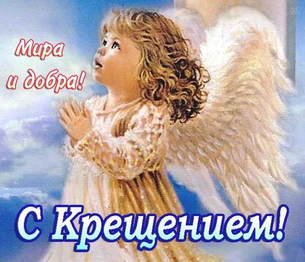 98139413550f981458b4d52.28977968.webp