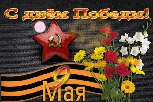 981459616.webp