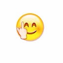 98f236aec7b542940e077625aa599de1--finger-emoji-middle-fingers.jpg