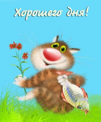 9935607.webp