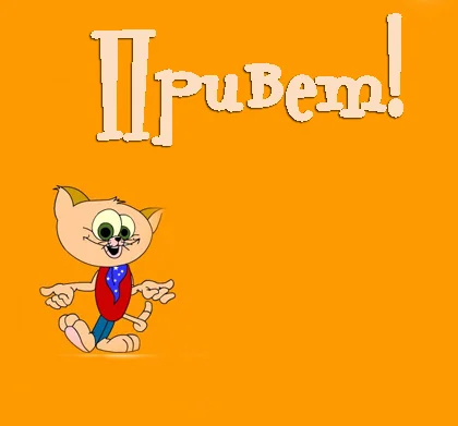 9936258.webp