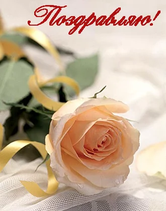 9936266.webp