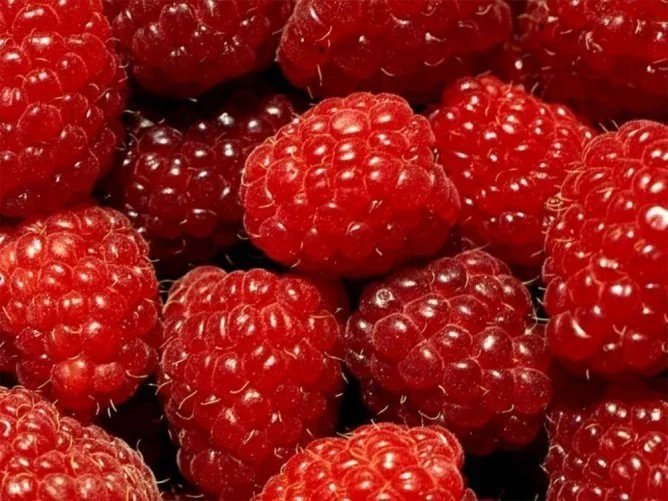 99473023_yr2KaZZMC0.webp
