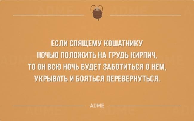 9960AF6E-DB93-46F9-8826-933ED5F0ABDC.jpeg
