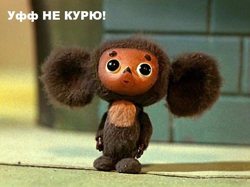 99852389.webp
