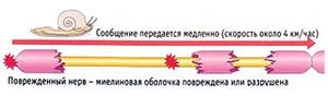 9999999.webp