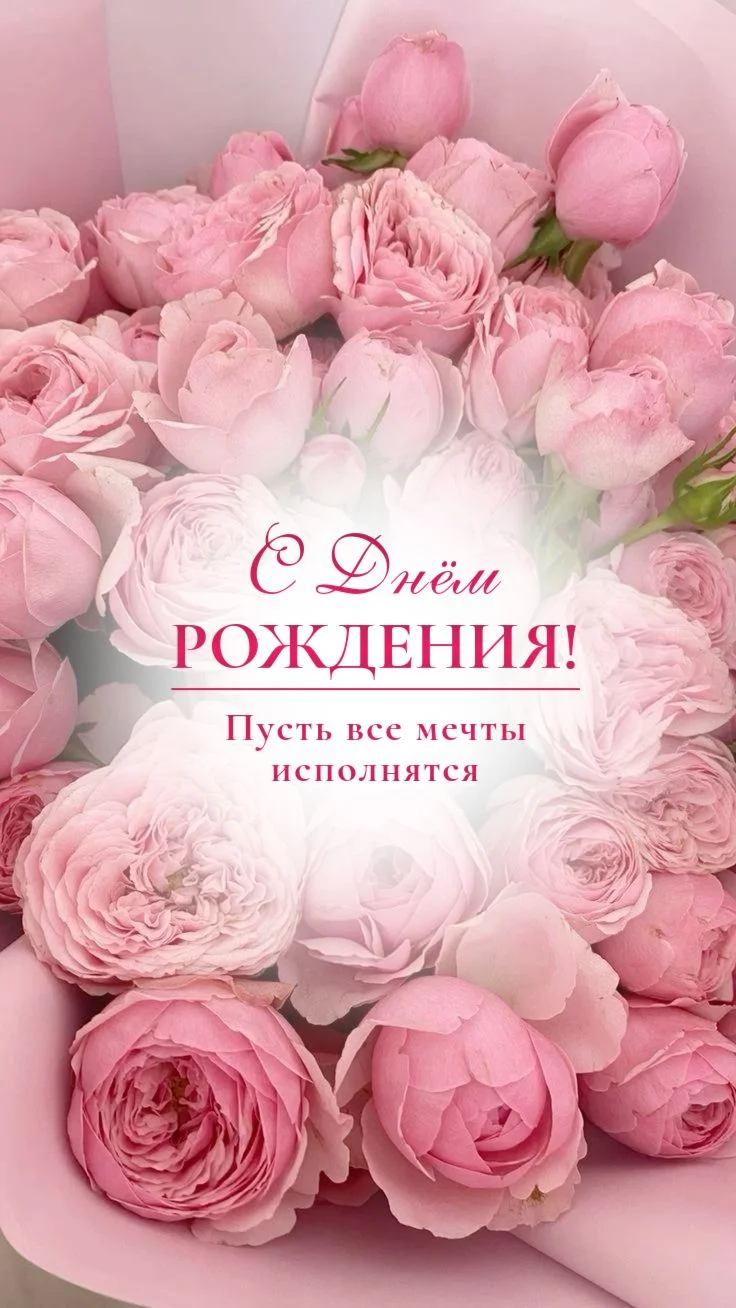 99c997edbf9d76ca81c31f1f0b75a3d7.webp