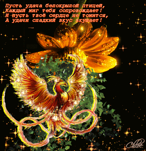 99px_ru_animacii_18150_ptica_feniks_na_fone_cvetka_pust_udacha_belokriloj.gif