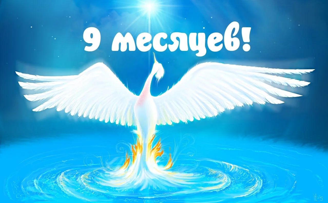 9_months.webp