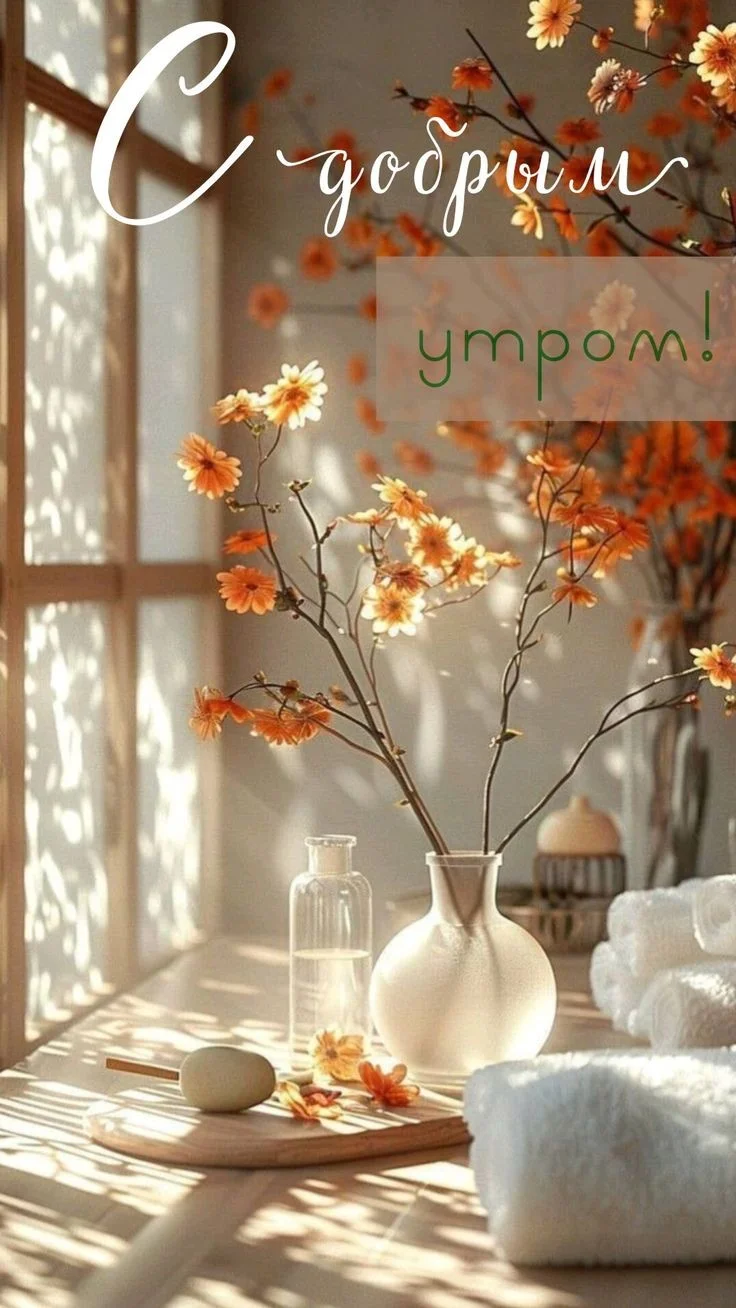 9a2a4933e59270c194fb61a7897ffd72.webp