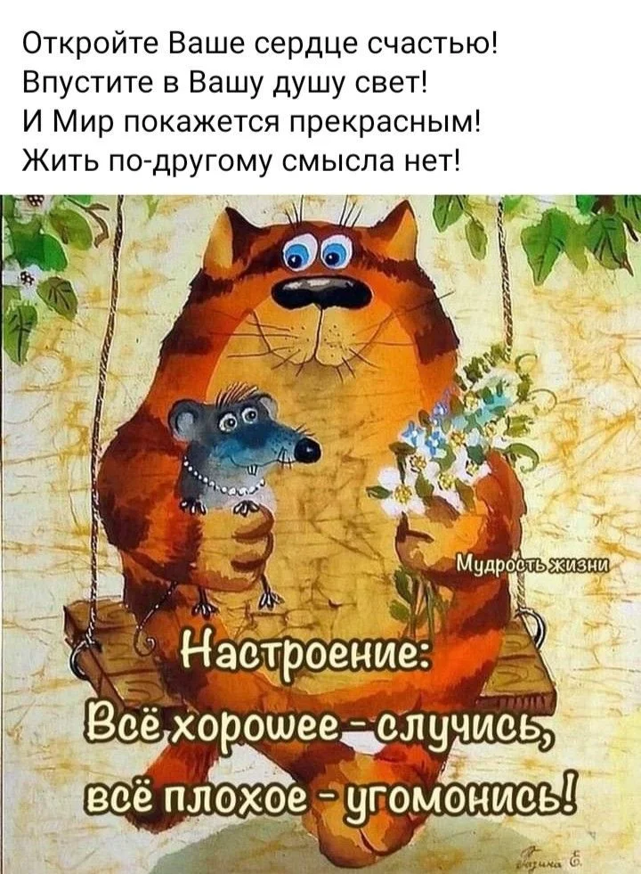 9a3069096bd8aa2949808ea735ce6e9c.webp