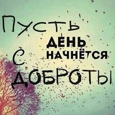 9a716e080a1b8afbdefd9a4148951b31.webp