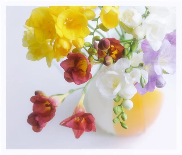 9ae7f4b8a274.webp