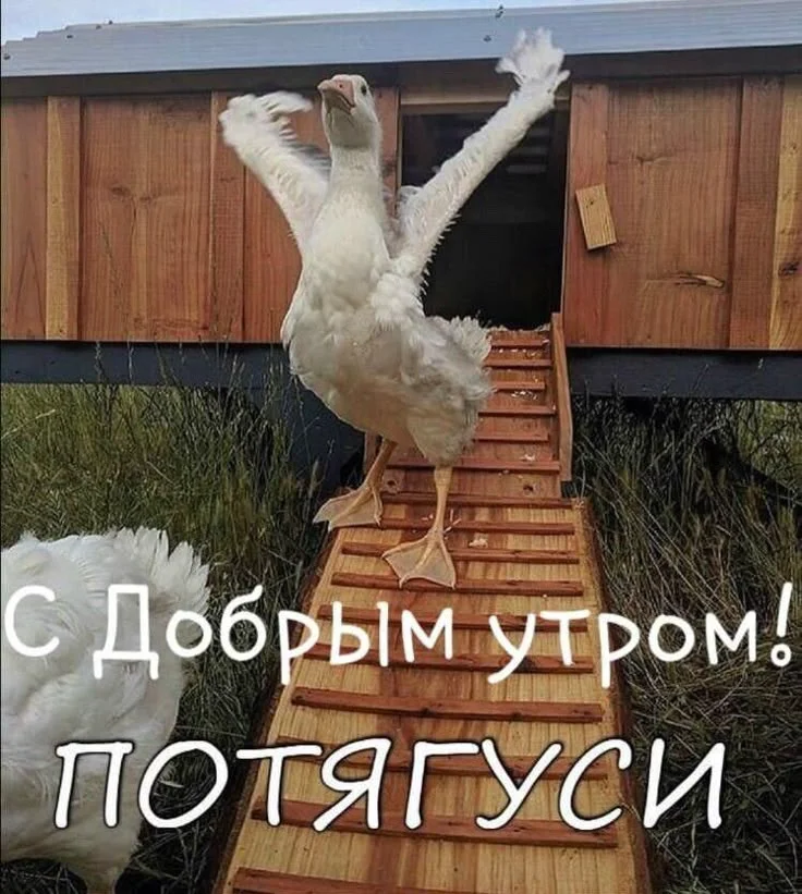 9ae9ec8596bcf0dc5a1117c0b3ca7e26 (1).webp