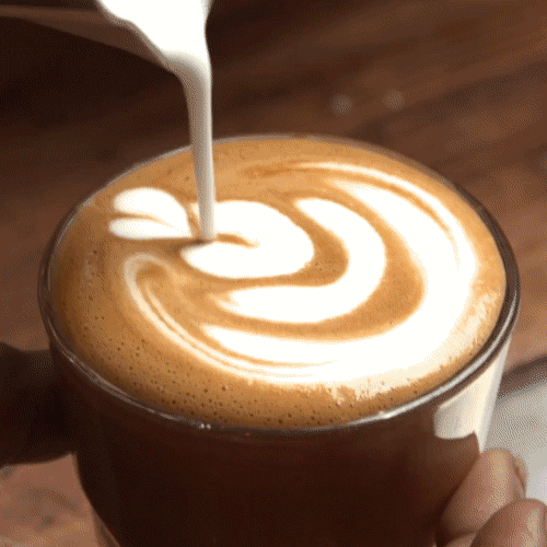 9B693276-5062-4A26-A6F5-FC1C8BA8D9E1.gif