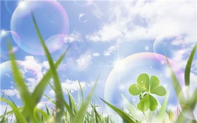 9b97ca2b6965.webp