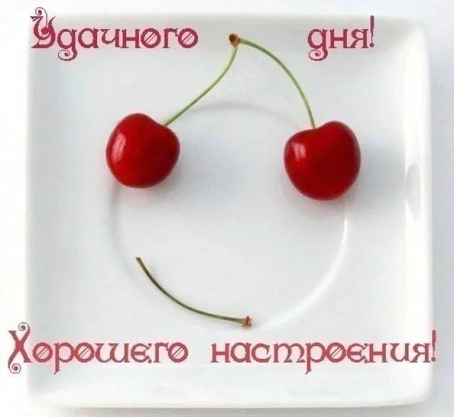9be356e7da18.webp