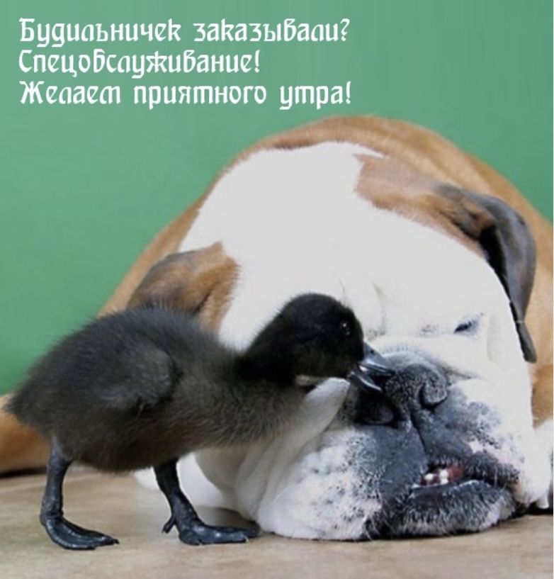 9CEE92A5-5BB1-4A3D-84AB-A9015F6729E2.jpeg