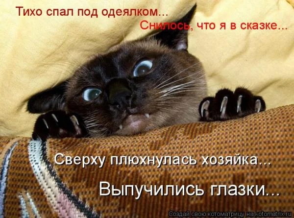 9d271e877f24.webp