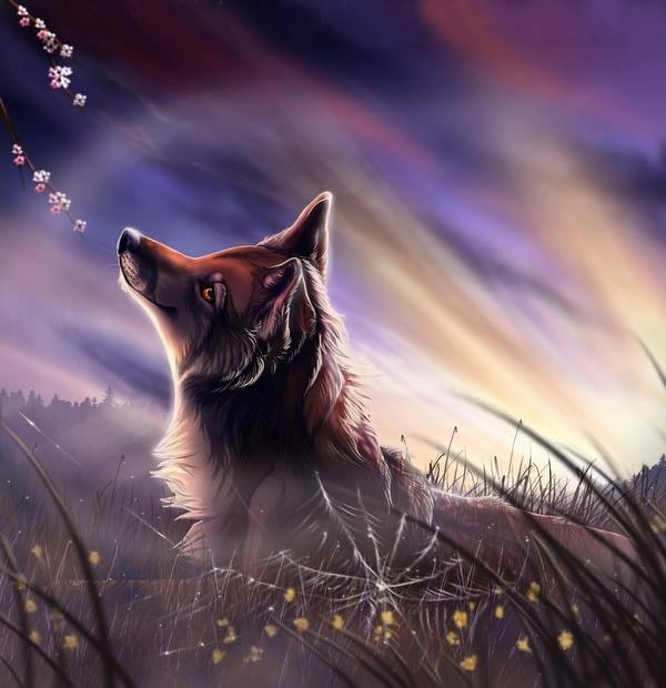 9d4b4b7a158603e5ee29ef1fadca8574--native-american-wolf-wolves-art.jpg