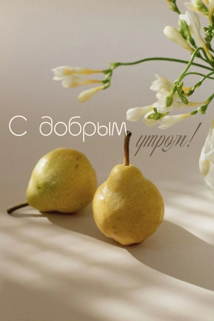 9e77618fa7c1b91838d33c69c61ea1fb.webp