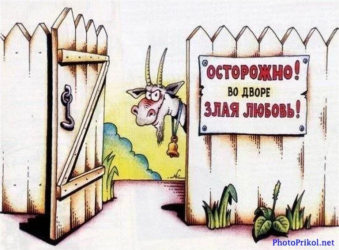 9k0uSsezONw.webp