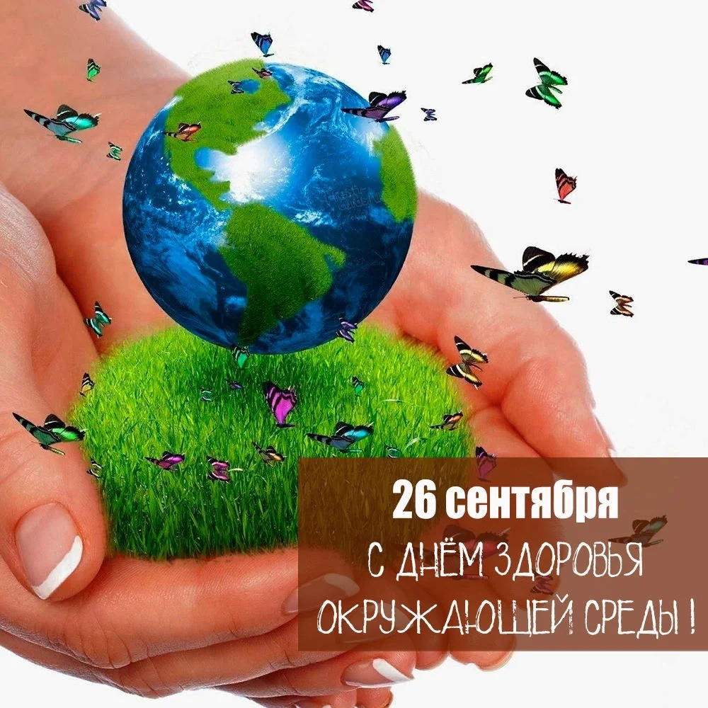 9TM9ceZTYbw (1).webp