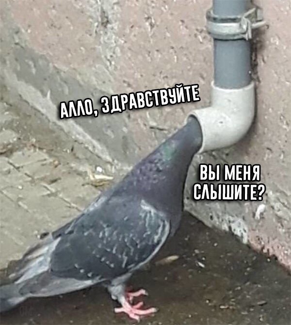 9u0D3_x_e2g.jpg