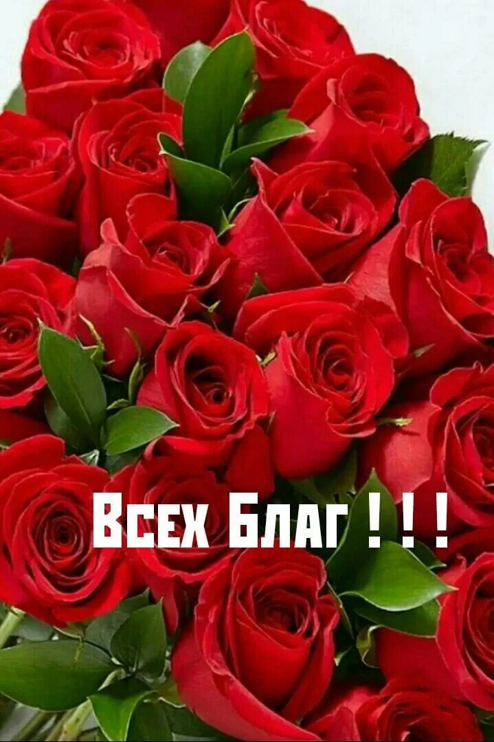 9UaoVatl3DA (1).webp