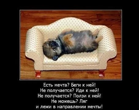 9V0-TV9NqIE.webp