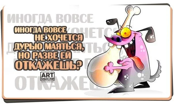 9V8NkGYLx6A.webp