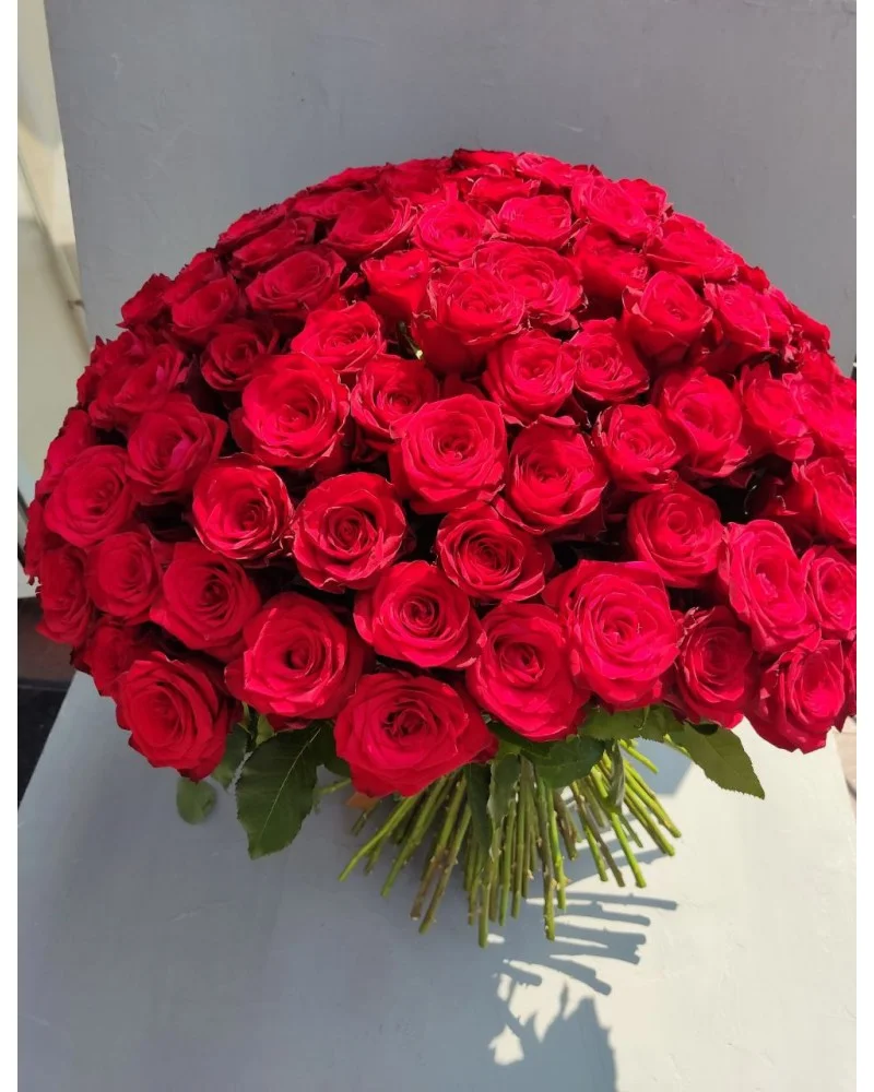 _135 роз-800x1000.jpg