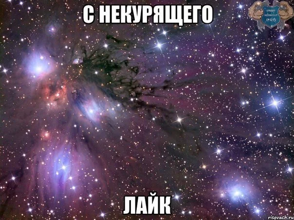 _7ZpyV9IDIE.webp