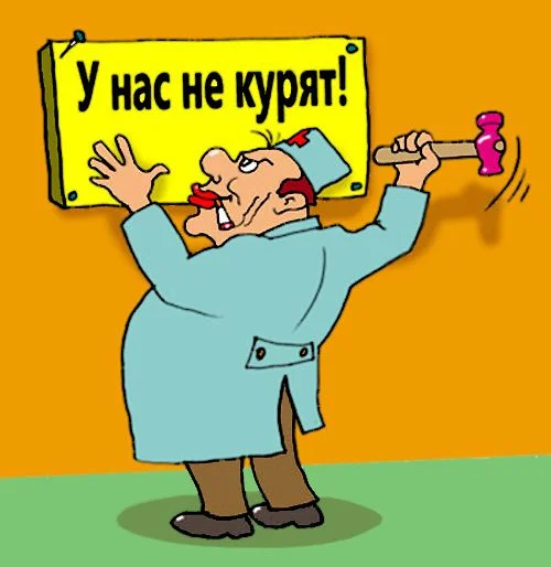 _94505.webp