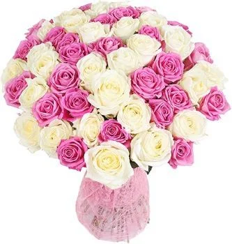 _________51e552f4d0f5d.webp