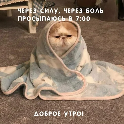 _через_силу_через_боль_просыпаюсь.webp