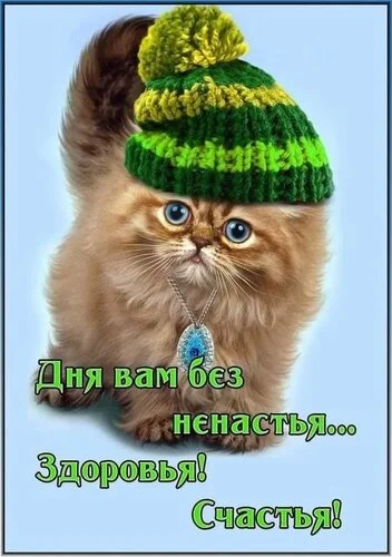 _дня_без_ненастья_здоровья_счастья.webp