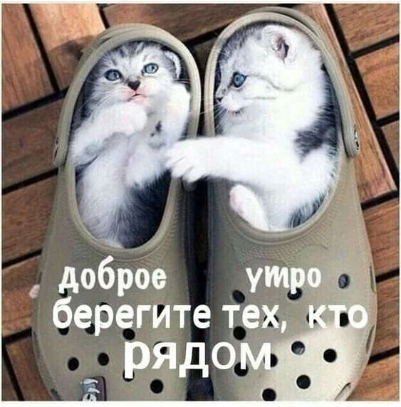 _доброе_утро_берегите_тех_кто.webp