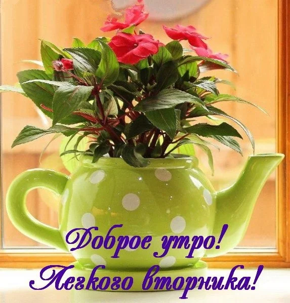 _доброе_утро_легкого_вторника.webp