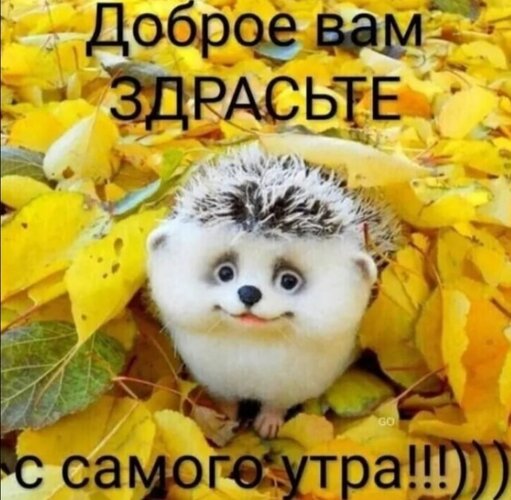 _доброе_вам_здрасте_с_самого.jpg