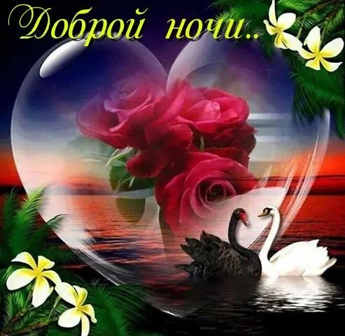 _доброй_ночи.webp