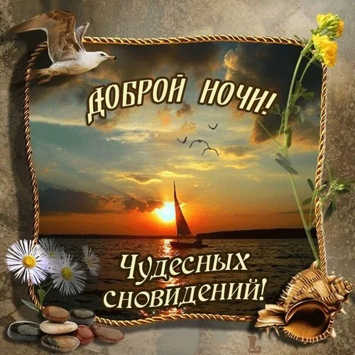 _доброй_ночи_чудесных_сновидений.webp