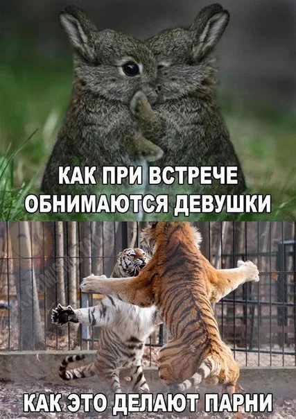 _HHczCNUB7Q.webp