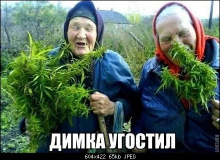 _I2_wS57G_Q.webp