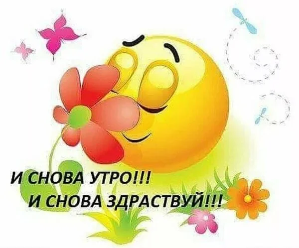 _и_снова_утро_и_снова_здравствуй.webp