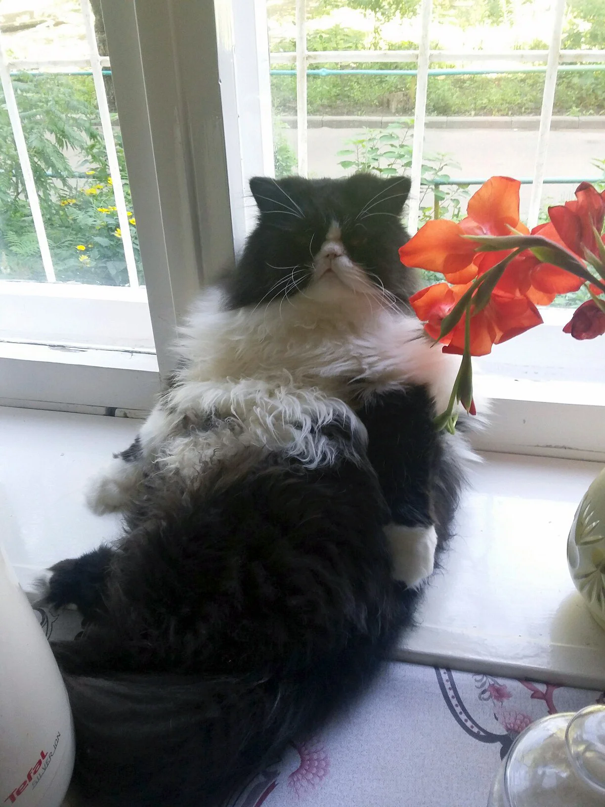 _JWBRnfO3Wg.webp _JWBRnfO3Wg.webp